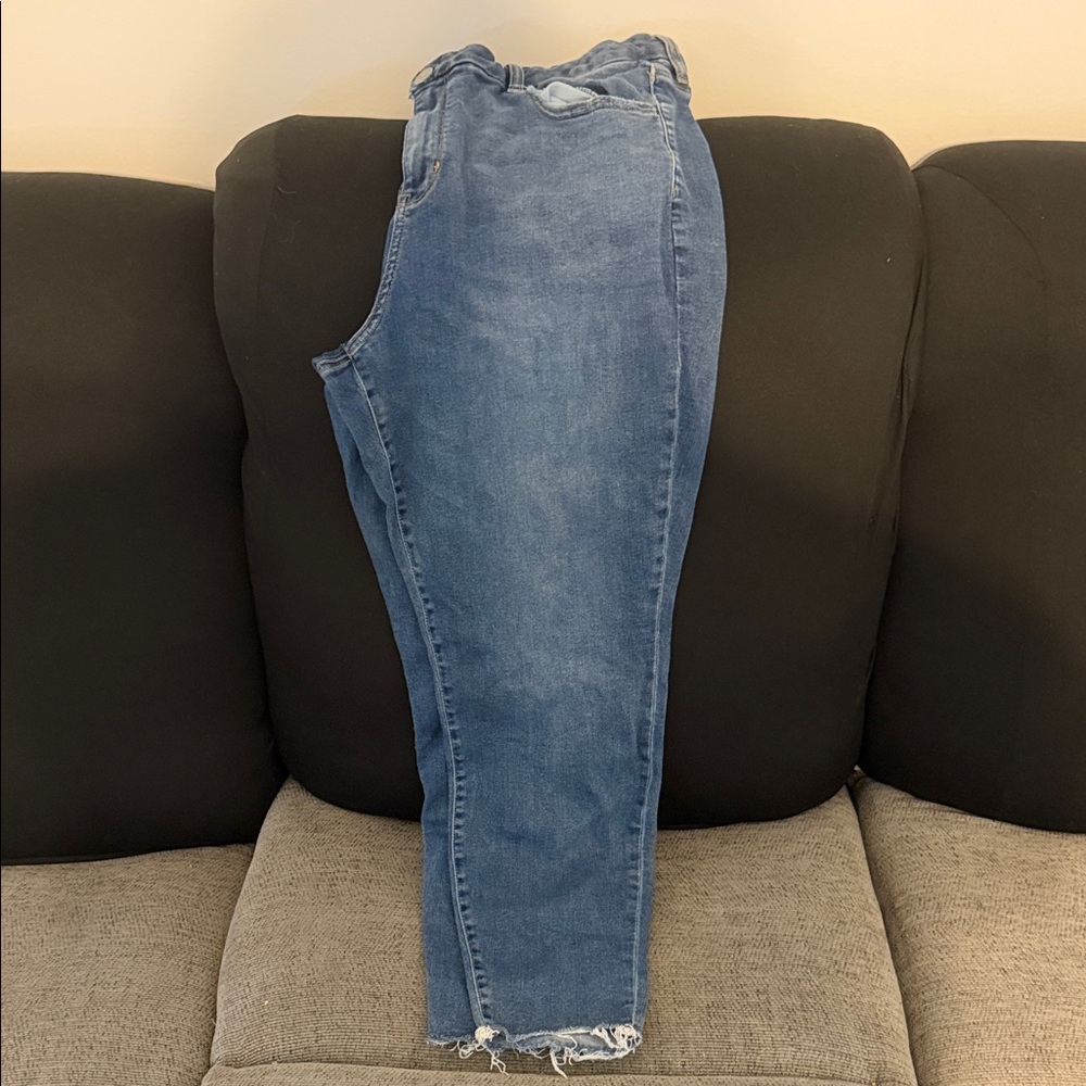 American Eagle Outfitters Blue Skinny Jeans